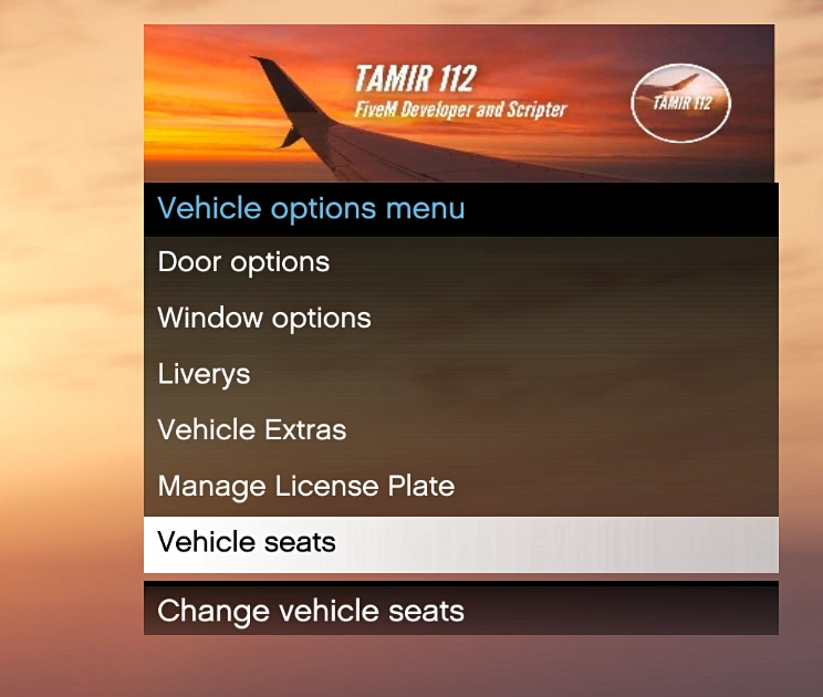Vehicle options menu-IMAGE